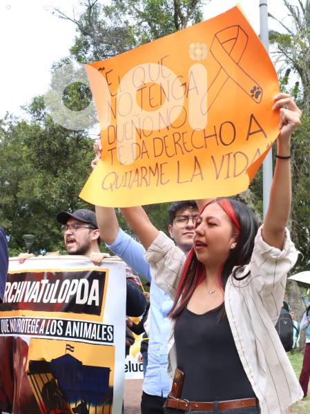 ÚLTIMO DIA DE PLENOS DE LA ASAMBLEA NACIONAL