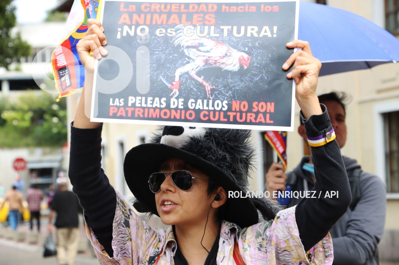 ÚLTIMO DIA DE PLENOS DE LA ASAMBLEA NACIONAL