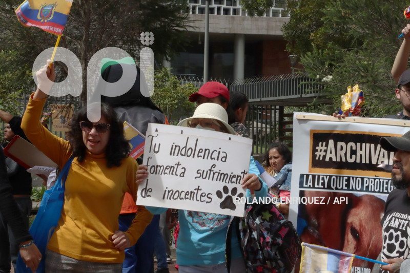 ÚLTIMO DIA DE PLENOS DE LA ASAMBLEA NACIONAL
