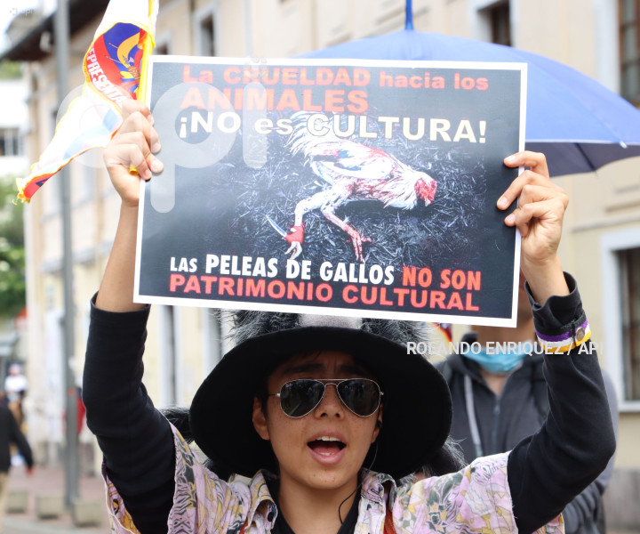 ÚLTIMO DIA DE PLENOS DE LA ASAMBLEA NACIONAL