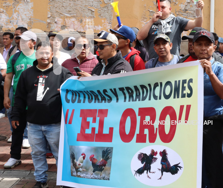 ÚLTIMO DIA DE PLENOS DE LA ASAMBLEA NACIONAL