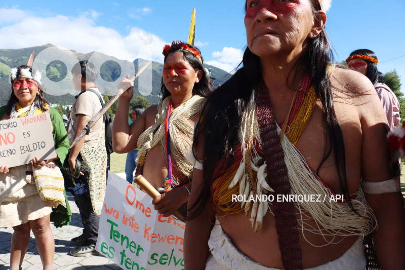 WAORANIS  EN CORTE CONSTITUCIONAL