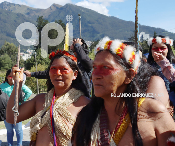 WAORANIS  EN CORTE CONSTITUCIONAL