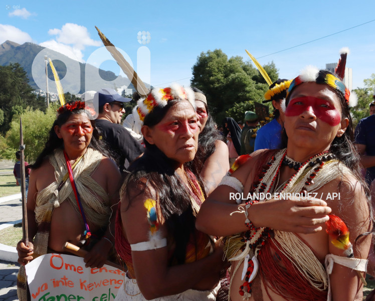 WAORANIS  EN CORTE CONSTITUCIONAL