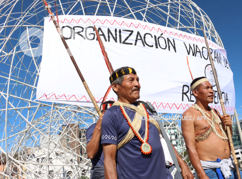 WAORANIS  EN CORTE CONSTITUCIONAL