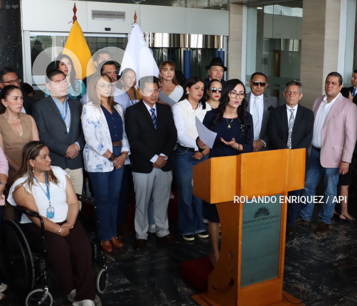 VIVIANA VELOZ SOBRE SUPUESTO DELITO DE REBELION