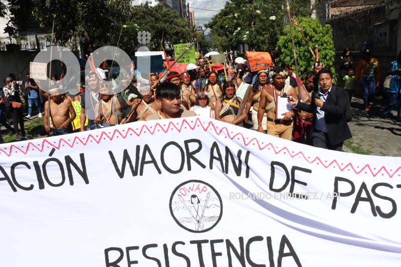 WAORANIS  EN CORTE CONSTITUCIONAL
