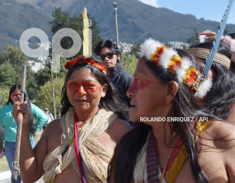 WAORANIS  EN CORTE CONSTITUCIONAL