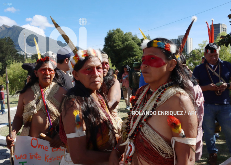 WAORANIS  EN CORTE CONSTITUCIONAL