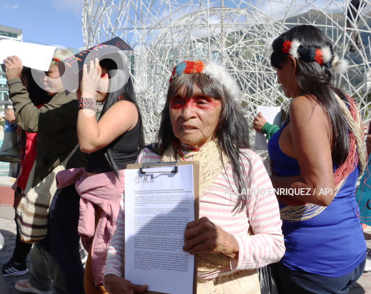 WAORANIS  EN CORTE CONSTITUCIONAL