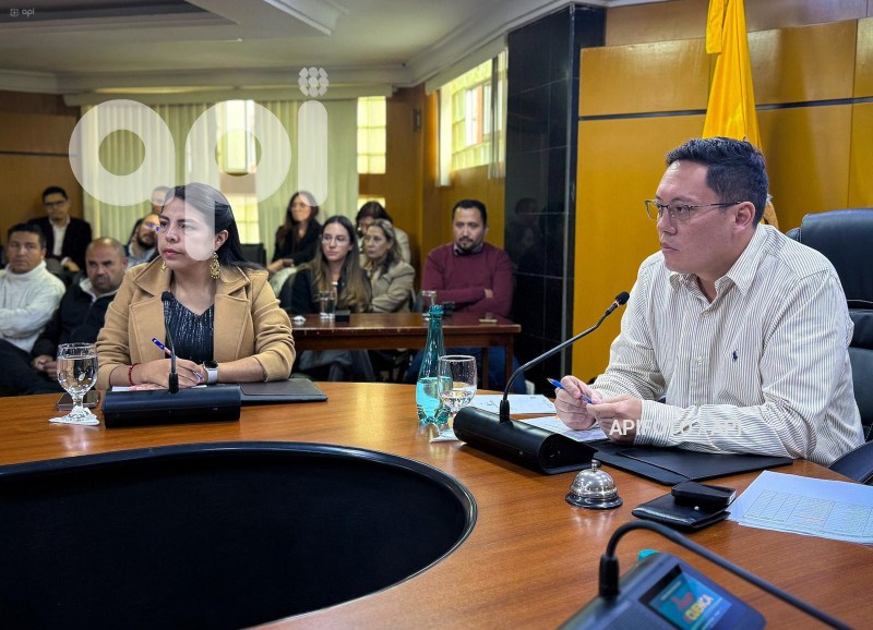 CUENCA-CONSEJO CANTONAL-ELECCION VICEALCALDESA