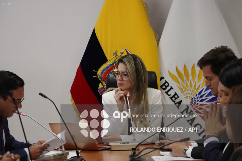 ELECCION COMISIONES ASAMBLEA