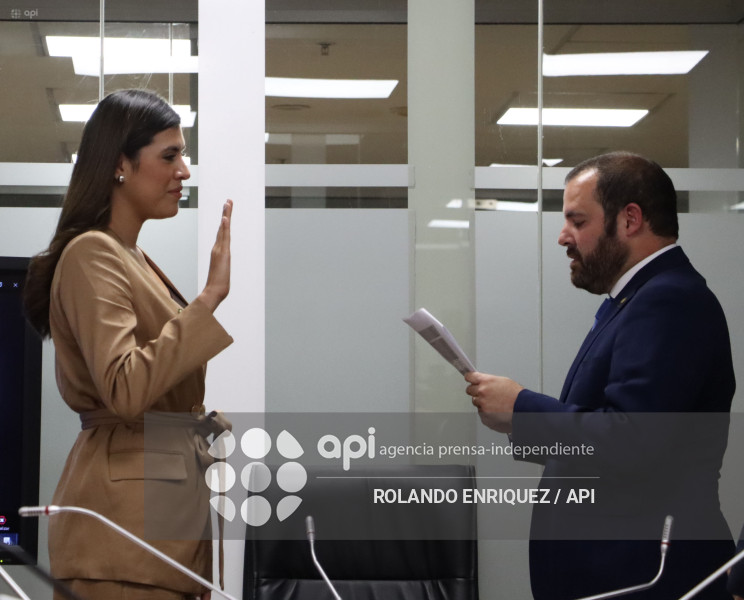 ELECCION COMISIONES ASAMBLEA