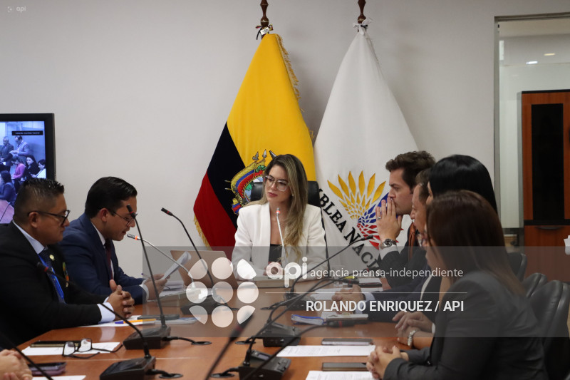 ELECCION COMISIONES ASAMBLEA