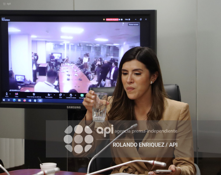 ELECCION COMISIONES ASAMBLEA