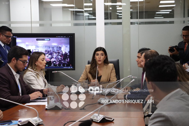 ELECCION COMISIONES ASAMBLEA