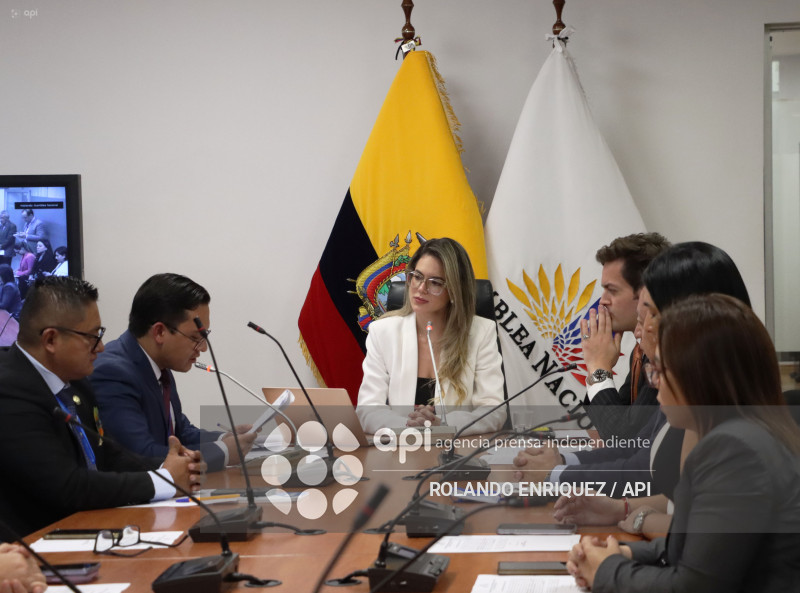 ELECCION COMISIONES ASAMBLEA