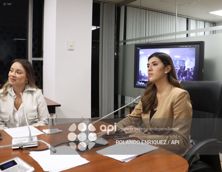 ELECCION COMISIONES ASAMBLEA
