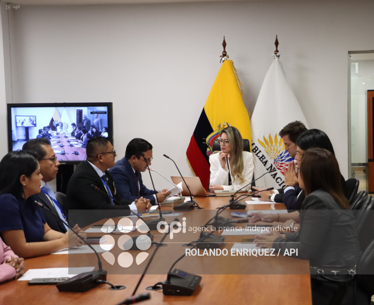 ELECCION COMISIONES ASAMBLEA