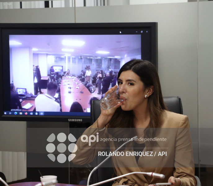 ELECCION COMISIONES ASAMBLEA
