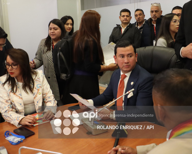 ELECCION COMISIONES ASAMBLEA