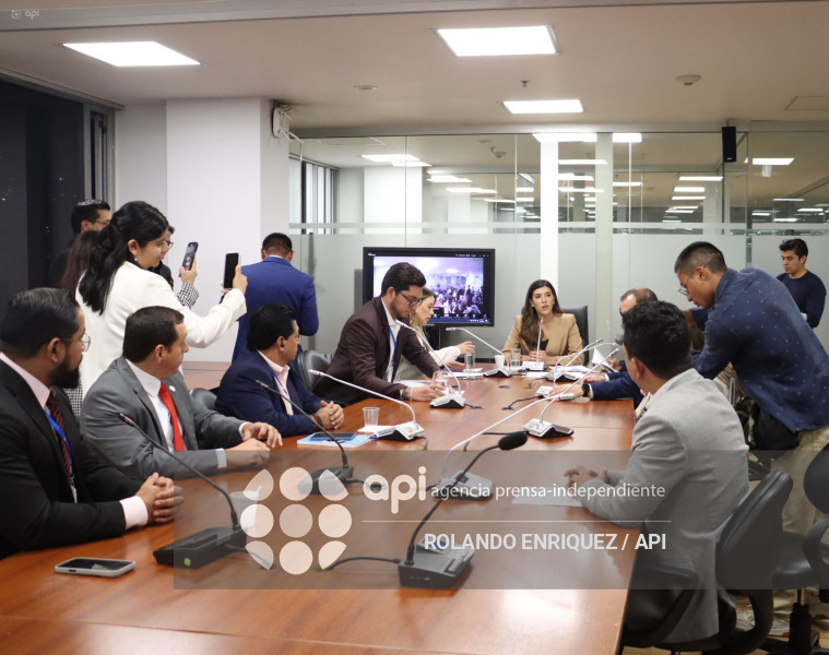 ELECCION COMISIONES ASAMBLEA