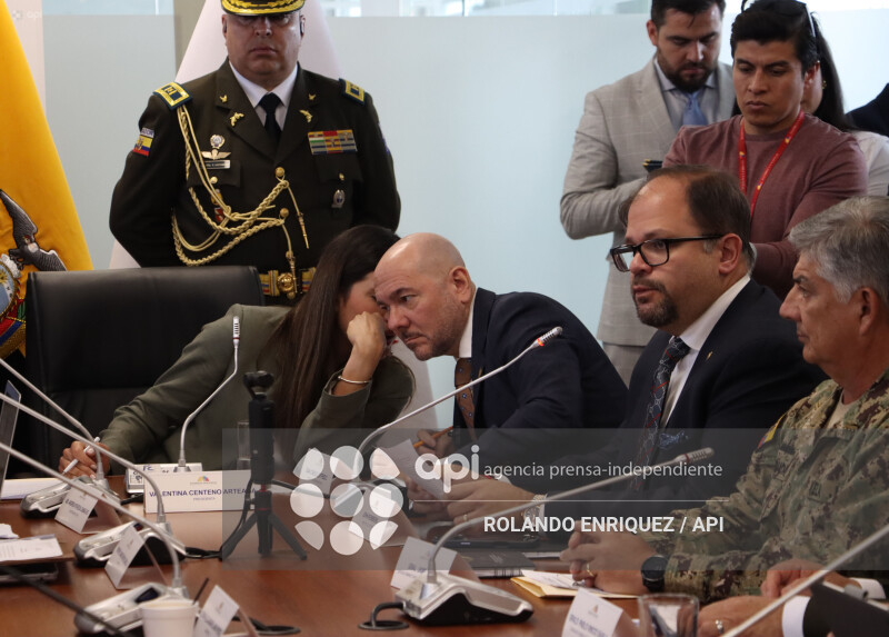 DESARROLLO ECONÓMICO FFAA