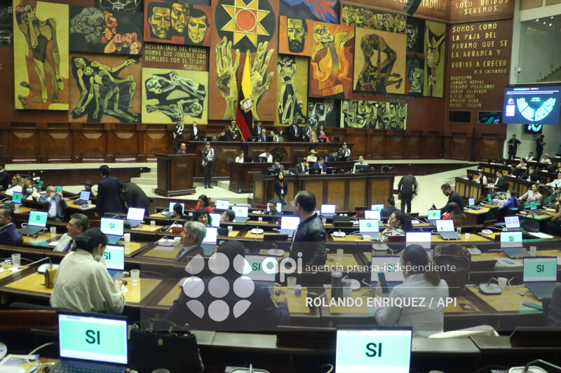 PLENO ASAMBLEA CONOCE  RENUNCIA DIANA SALAZAR