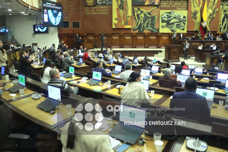 PLENO ASAMBLEA CONOCE  RENUNCIA DIANA SALAZAR