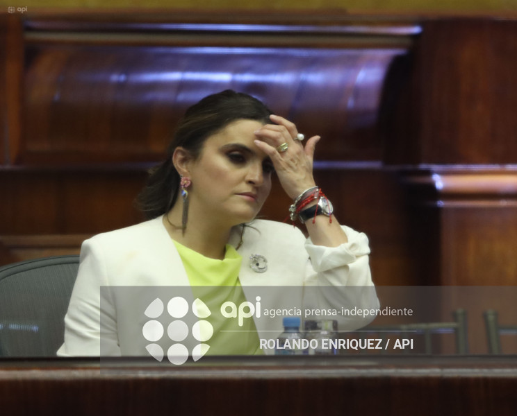 POSESION NOBOA ASAMBLEA
