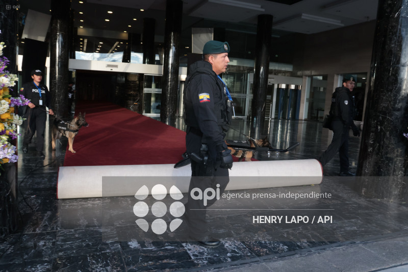 ALFOMBRA ROJA