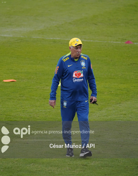 GYE-ENTRENAMIENTO BRASIL