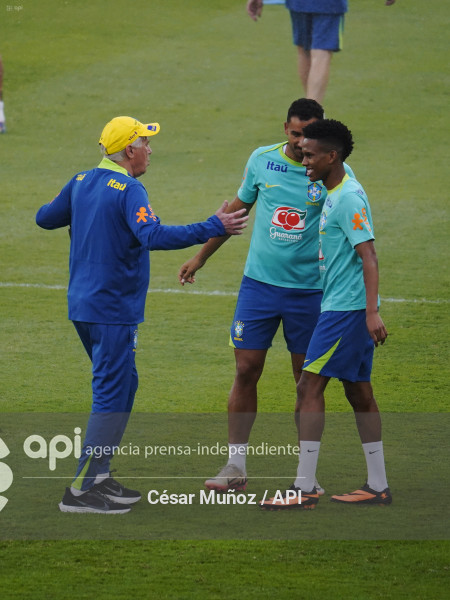 GYE-ENTRENAMIENTO BRASIL