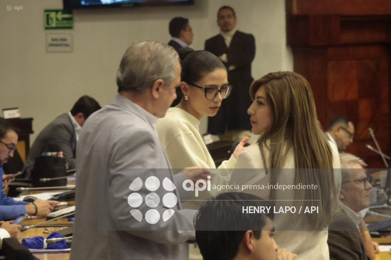ASAMBLEA SESION LEY INTELIGENCIA