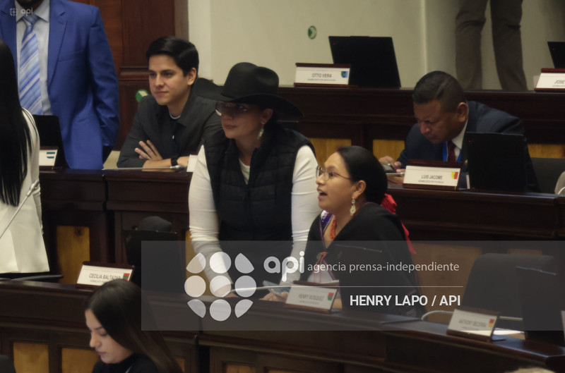 ASAMBLEA SESION LEY INTELIGENCIA