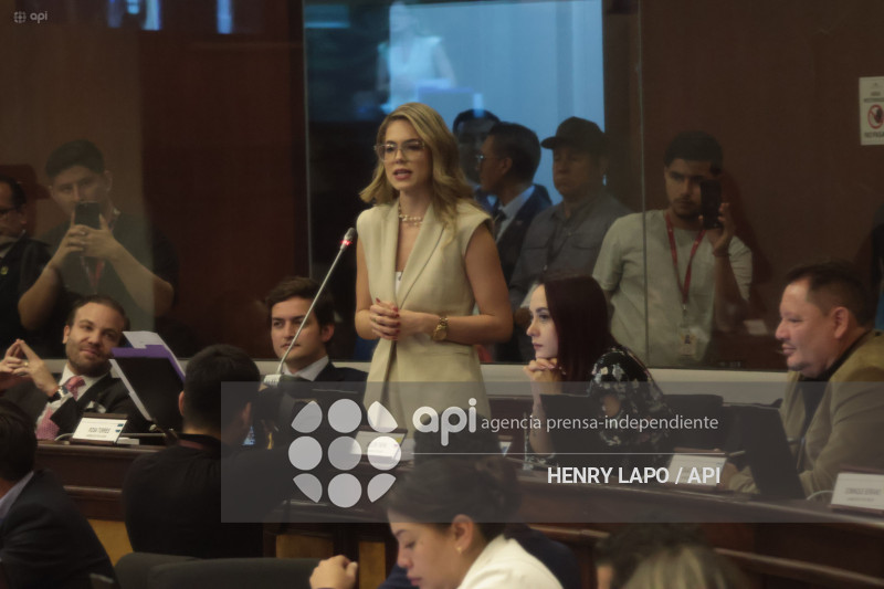SESION ASAMBLEA CODIGO DE LA DEMOCRACIA