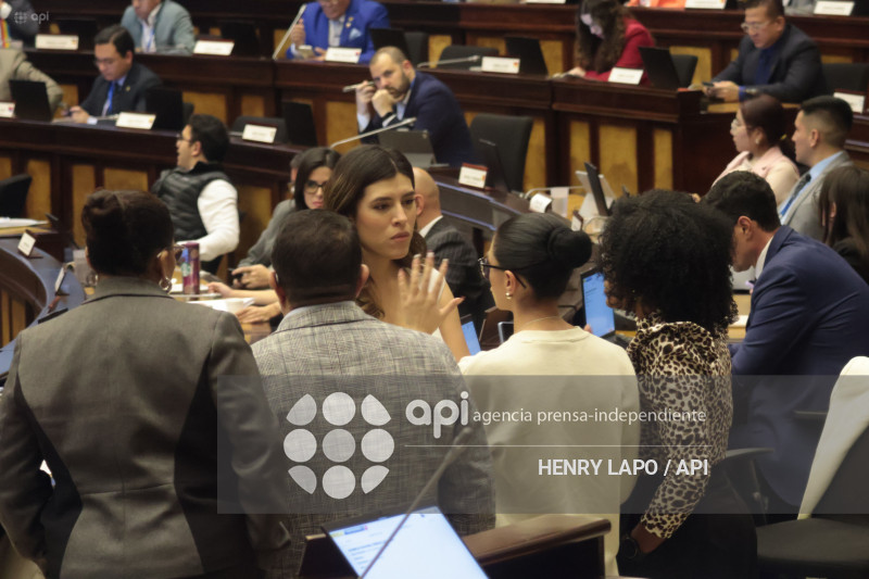 ASAMBLEA SESION LEY INTELIGENCIA