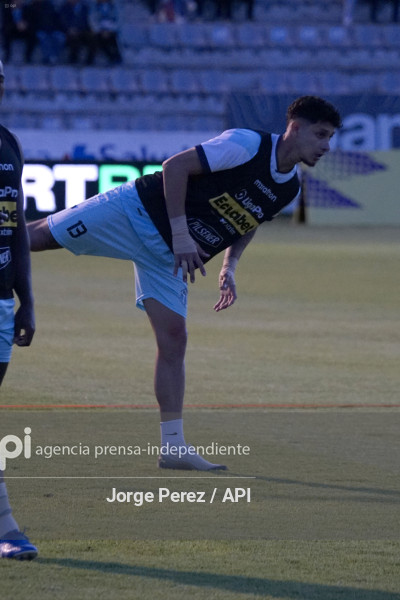 FBL LIGA PRO MACARA VINO TINTO