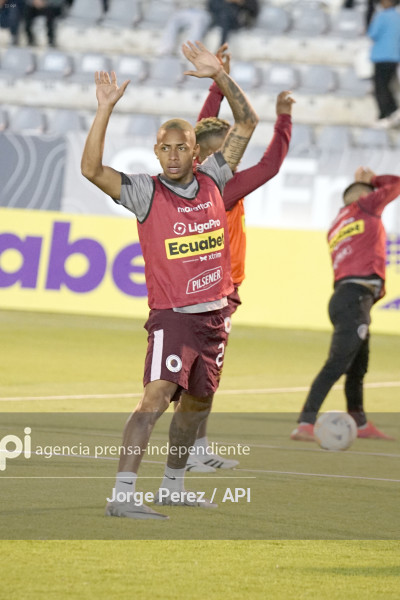 FBL LIGA PRO MACARA VINO TINTO