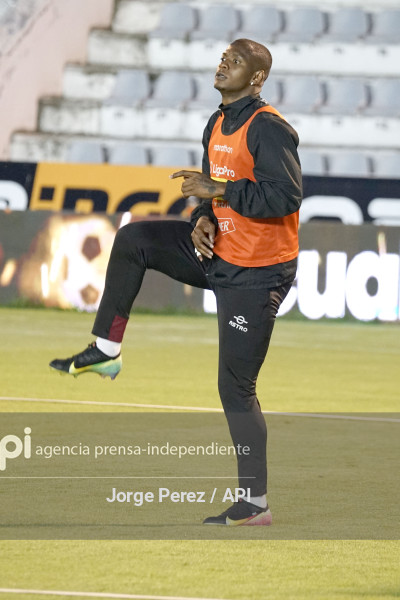 FBL LIGA PRO MACARA VINO TINTO