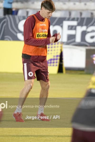 FBL LIGA PRO MACARA VINO TINTO