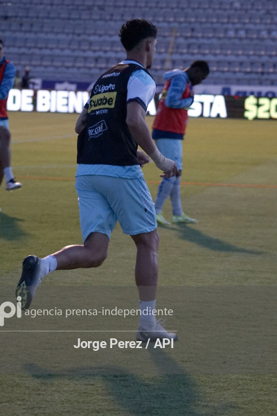 FBL LIGA PRO MACARA VINO TINTO