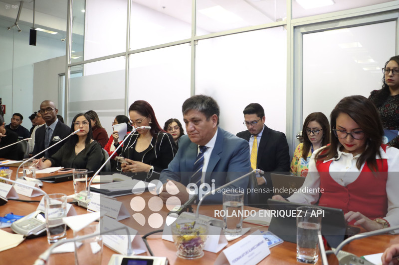 FISCAL EN COMISION DE FISCALIZACION