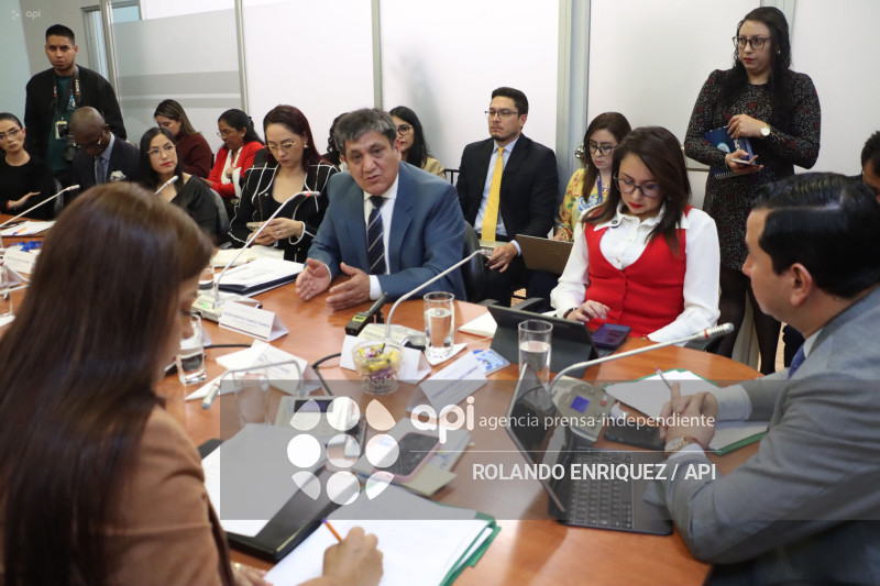 FISCAL EN COMISION DE FISCALIZACION