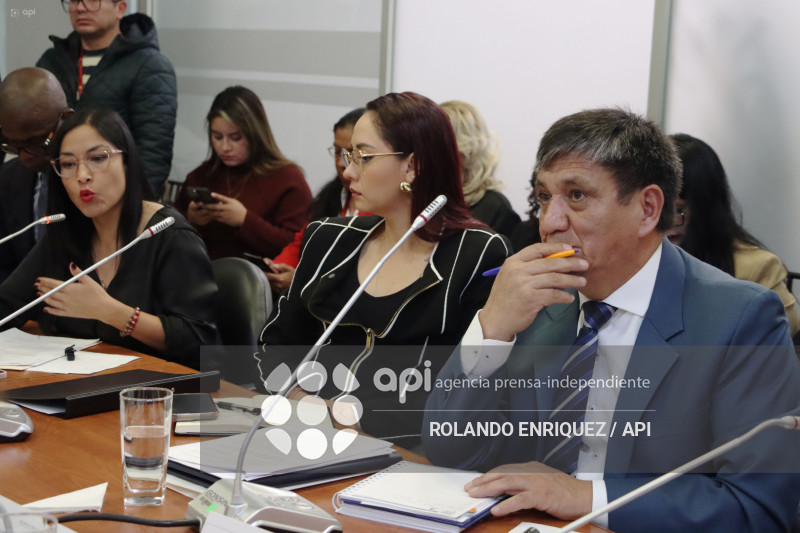 FISCAL EN COMISION DE FISCALIZACION