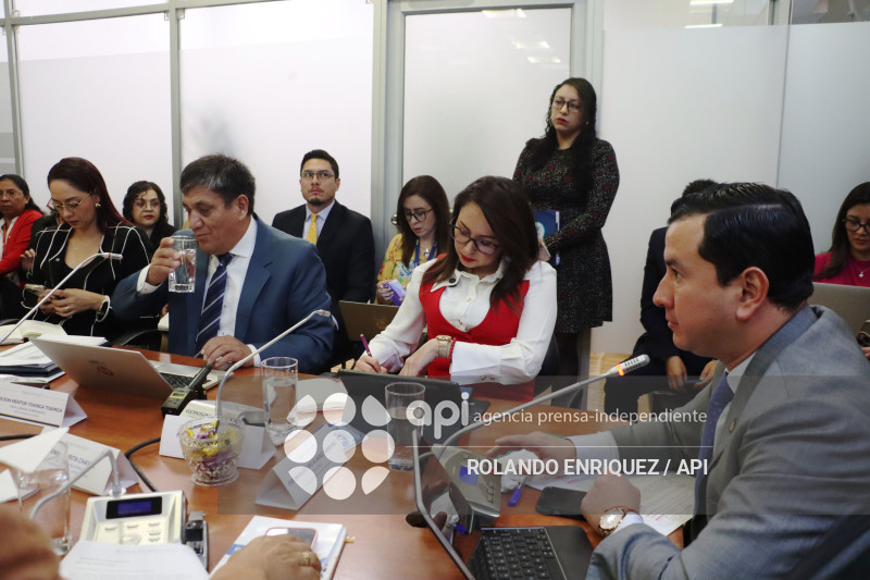 FISCAL EN COMISION DE FISCALIZACION
