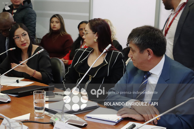 FISCAL EN COMISION DE FISCALIZACION
