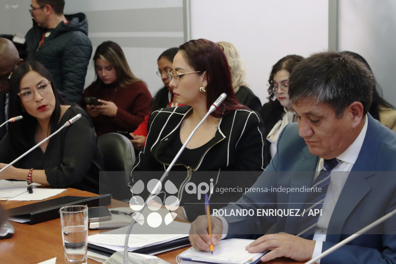 FISCAL EN COMISION DE FISCALIZACION