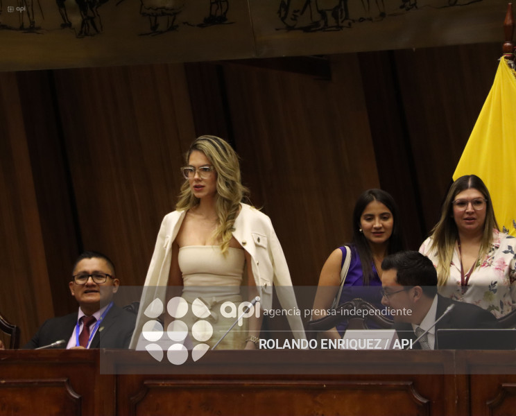 MARIO GODOY COMISION JUSTICIA