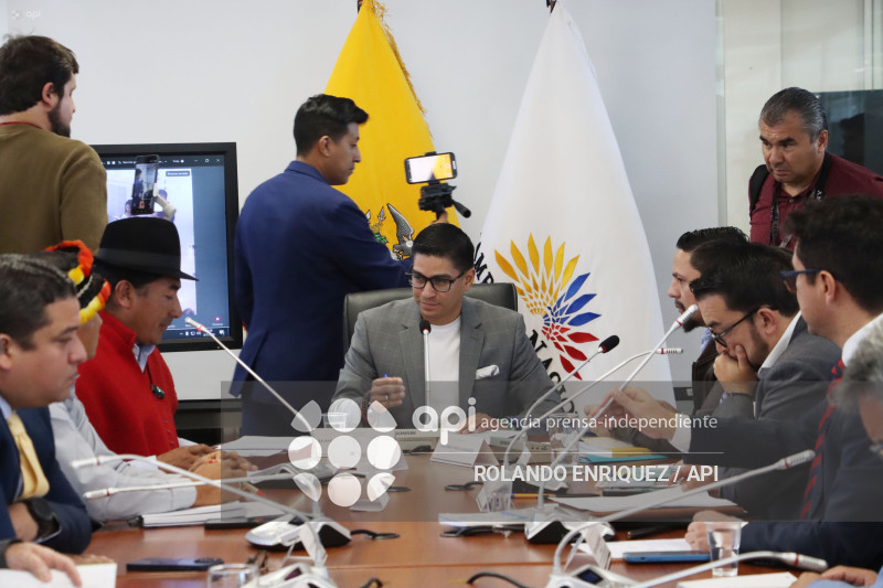 LEONIDAS IZA GARANTIAS CONSTITUCIONALES